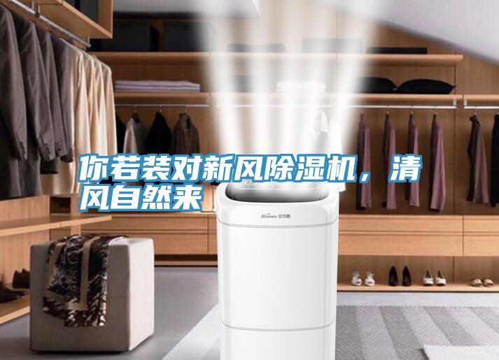 你若裝對新風除濕機，清風自然來