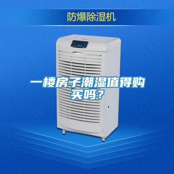 一樓房子潮濕值得購買嗎？
