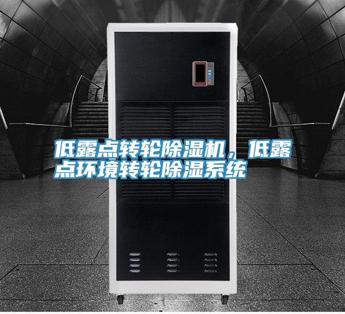 低露點轉(zhuǎn)輪除濕機，低露點環(huán)境轉(zhuǎn)輪除濕系統(tǒng)