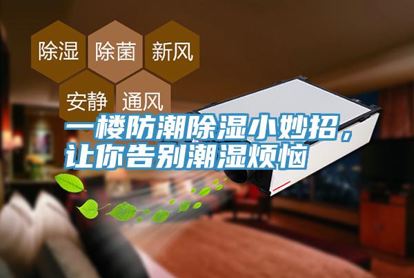 一樓防潮除濕小妙招，讓你告別潮濕煩惱