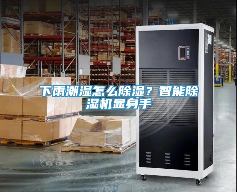 下雨潮濕怎么除濕？智能除濕機(jī)顯身手