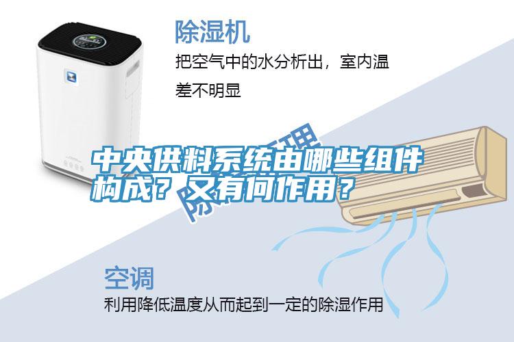 中央供料系統(tǒng)由哪些組件構(gòu)成？又有何作用？