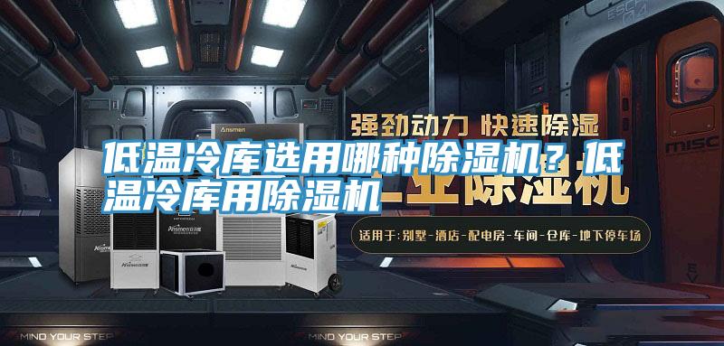 低溫冷庫選用哪種除濕機(jī)？低溫冷庫用除濕機(jī)