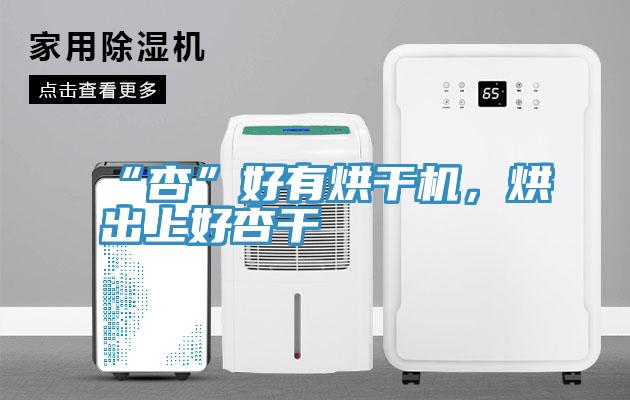 “杏”好有烘干機(jī)，烘出上好杏干