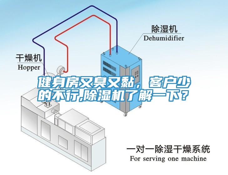 健身房又臭又黏，客戶少的不行,除濕機(jī)了解一下？