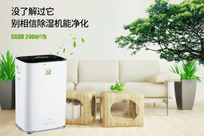 一到回南天狗狗就感冒+皮膚病，怎么辦？