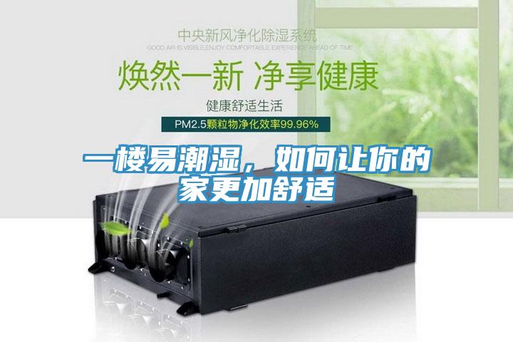 一樓易潮濕，如何讓你的家更加舒適