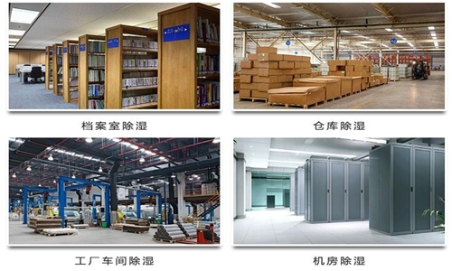 為什么竹筍烘干房需要除濕機？