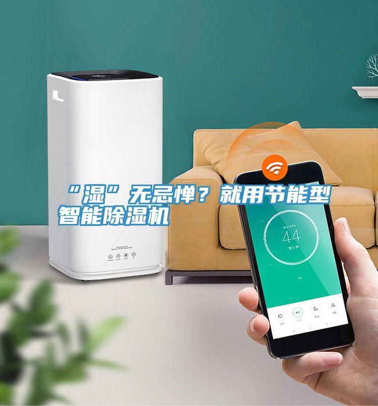 “濕”無(wú)忌憚？就用節(jié)能型智能除濕機(jī)