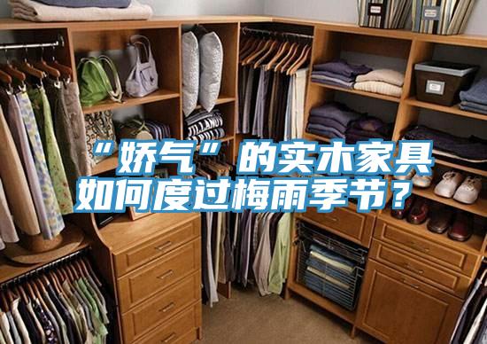 “嬌氣”的實(shí)木家具如何度過(guò)梅雨季節(jié)？