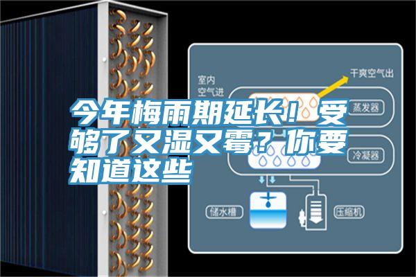 今年梅雨期延長(zhǎng)！受夠了又濕又霉？你要知道這些