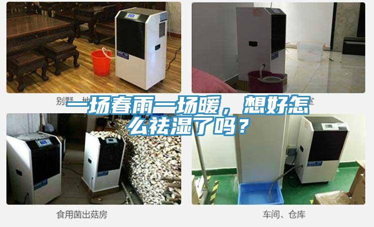 一場春雨一場暖，想好怎么祛濕了嗎？