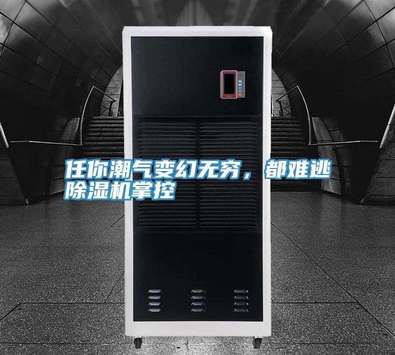 任你潮氣變幻無窮，都難逃除濕機掌控
