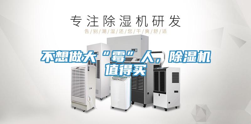 不想做大“霉”人，除濕機值得買