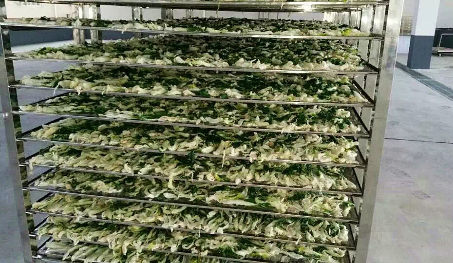 菜干需求一直都很大，蔬菜烘干機很有市場