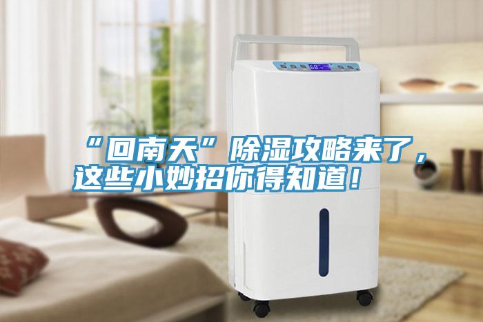 “回南天”除濕攻略來了，這些小妙招你得知道！