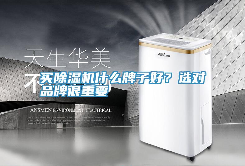 買除濕機(jī)什么牌子好？選對(duì)品牌很重要