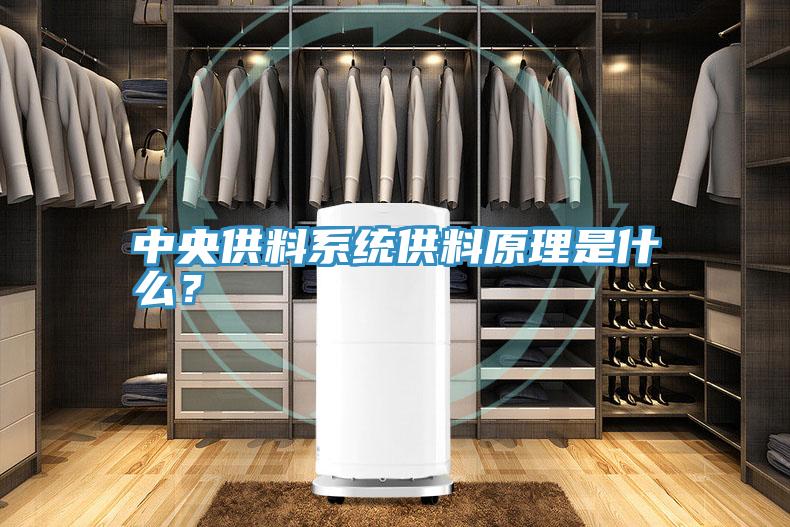 中央供料系統(tǒng)供料原理是什么？