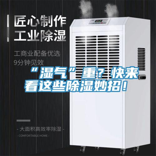 “濕氣”重？快來(lái)看這些除濕妙招！
