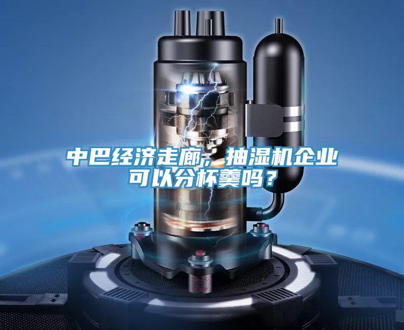 中巴經(jīng)濟走廊，抽濕機企業(yè)可以分杯羹嗎？