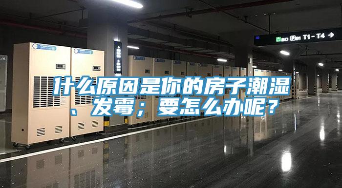 什么原因是你的房子潮濕、發(fā)霉；要怎么辦呢？