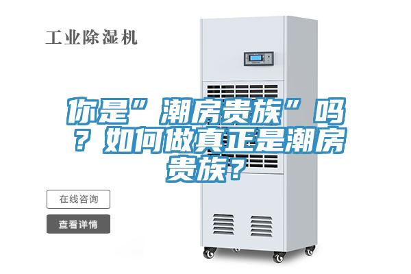 你是”潮房貴族”嗎？如何做真正是潮房貴族？