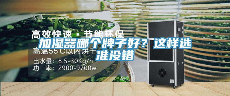 加濕器哪個牌子好？這樣選準(zhǔn)沒錯