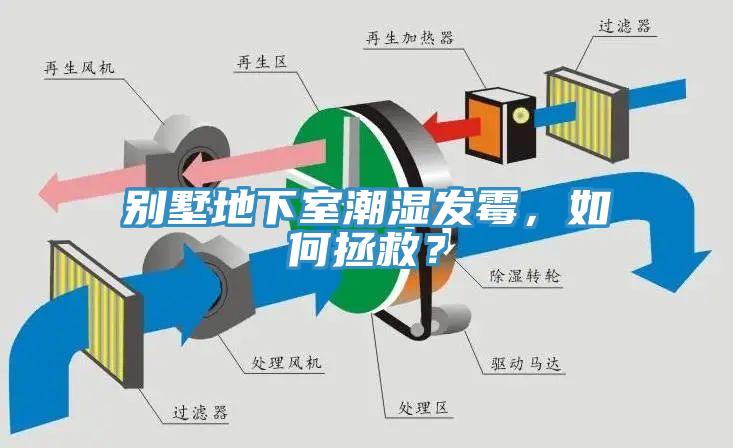 別墅地下室潮濕發(fā)霉，如何拯救？