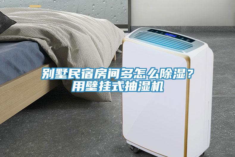 別墅民宿房間多怎么除濕？用壁掛式抽濕機(jī)