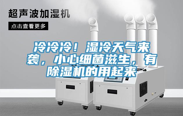 冷冷冷！濕冷天氣來襲，小心細菌滋生，有除濕機的用起來