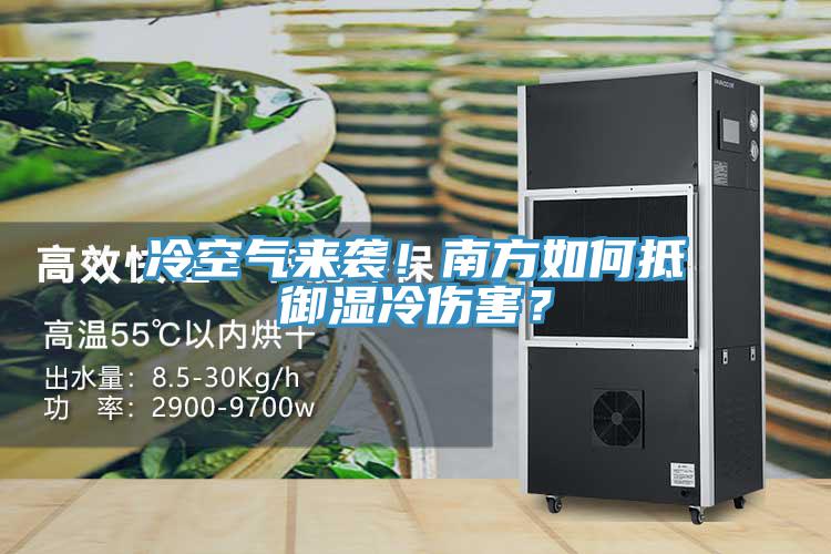 冷空氣來(lái)襲！南方如何抵御濕冷傷害？