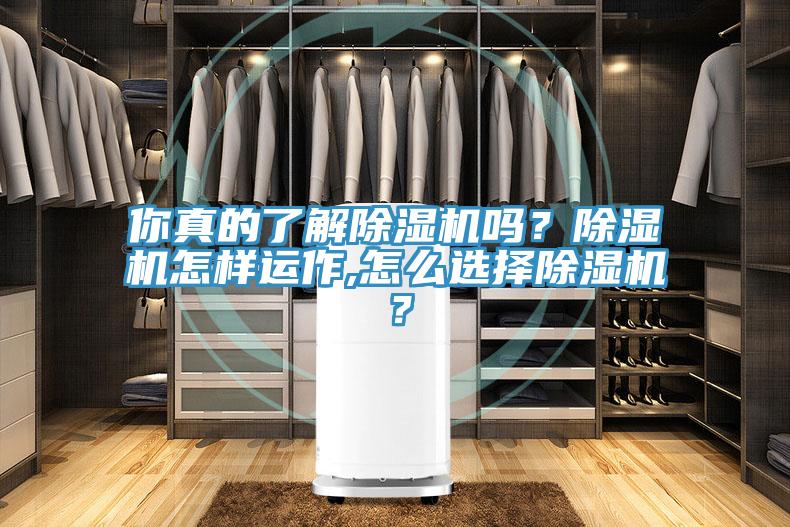 你真的了解除濕機(jī)嗎？除濕機(jī)怎樣運(yùn)作,怎么選擇除濕機(jī)？