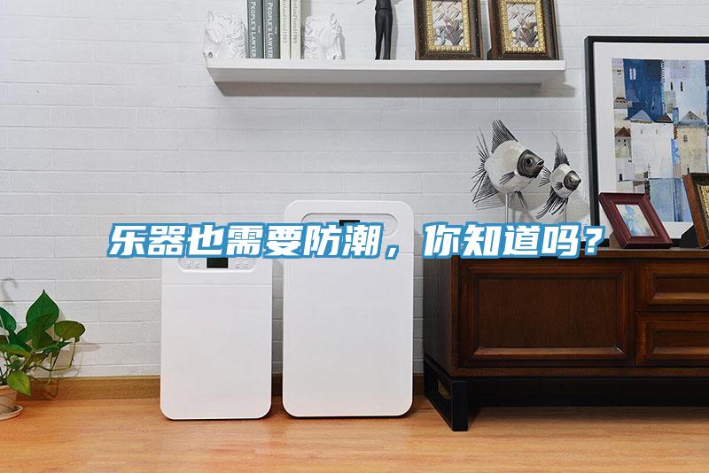 樂器也需要防潮，你知道嗎？