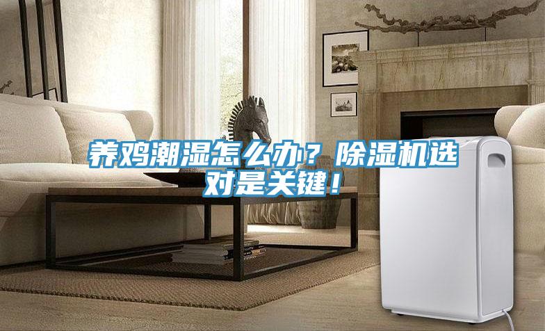 養(yǎng)雞潮濕怎么辦？除濕機選對是關鍵！