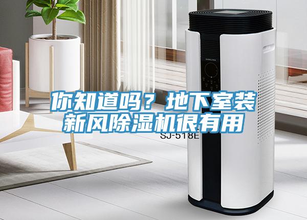 你知道嗎？地下室裝新風(fēng)除濕機(jī)很有用
