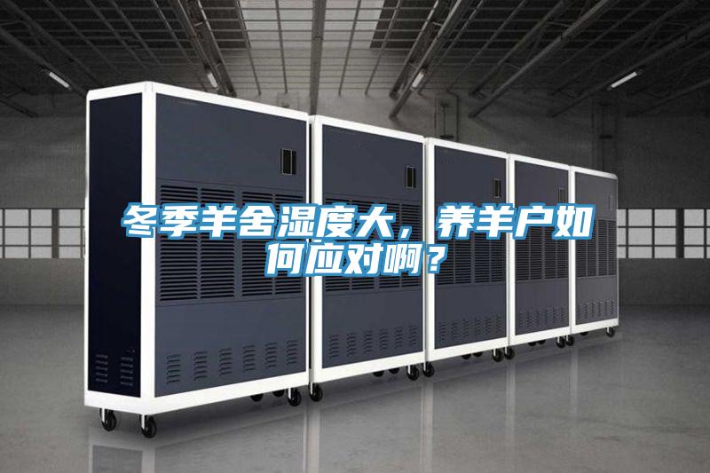 冬季羊舍濕度大，養(yǎng)羊戶如何應(yīng)對??？