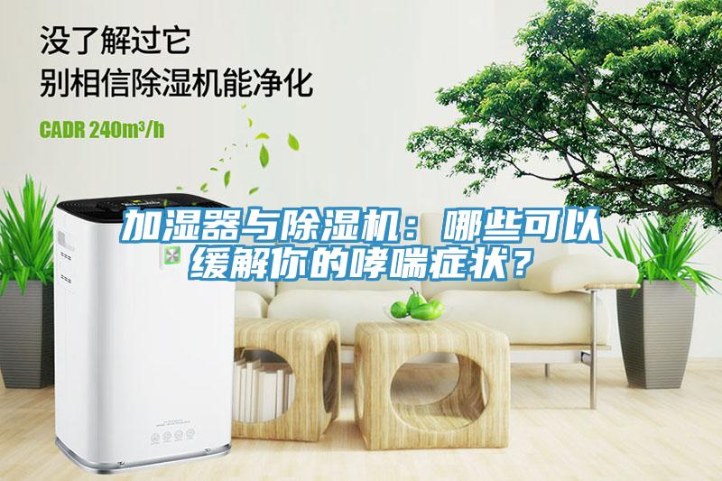 加濕器與除濕機(jī)：哪些可以緩解你的哮喘癥狀？