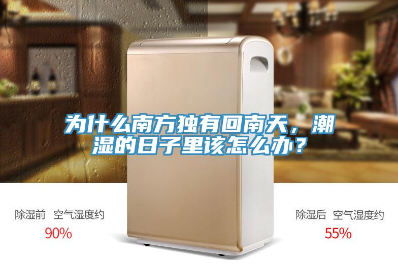 為什么南方獨有回南天，潮濕的日子里該怎么辦？