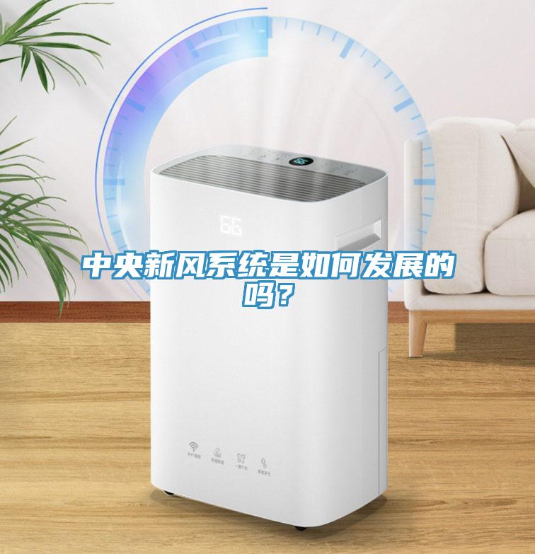 中央新風系統(tǒng)是如何發(fā)展的嗎？