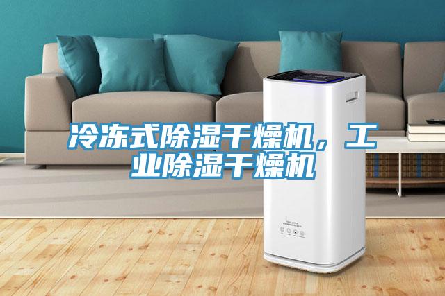 冷凍式除濕干燥機，工業(yè)除濕干燥機