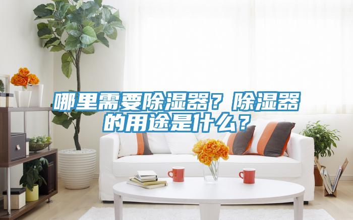 哪里需要除濕器？除濕器的用途是什么？