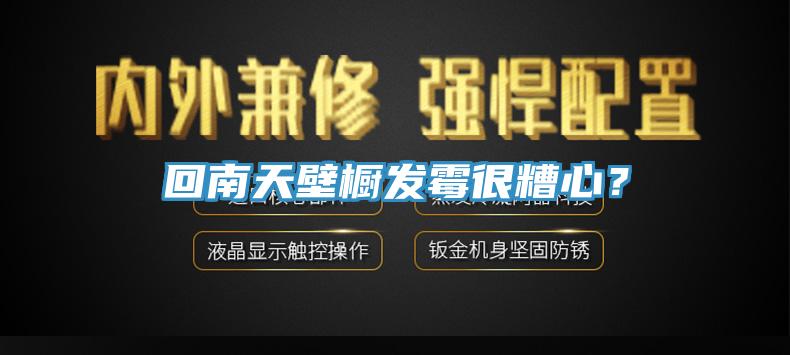 回南天壁櫥發(fā)霉很糟心？