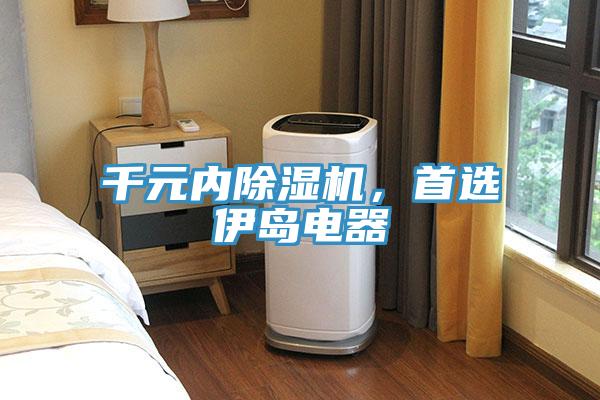 千元內(nèi)除濕機(jī)，首選伊島電器