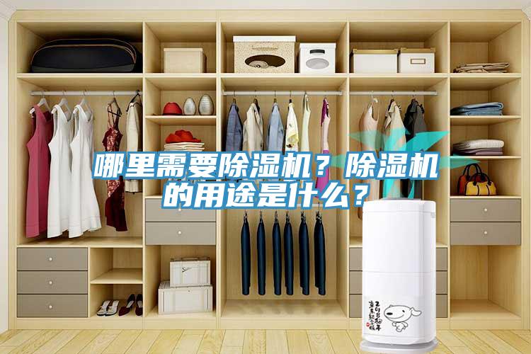 哪里需要除濕機？除濕機的用途是什么？