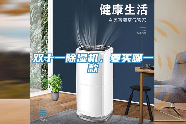 雙十一除濕機，要買哪一款