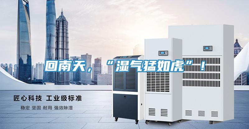 回南天，“濕氣猛如虎”！
