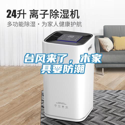 臺風來了，木家具要防潮