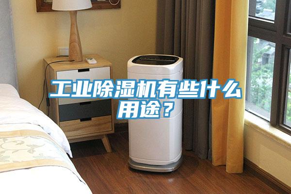 工業(yè)除濕機有些什么用途？