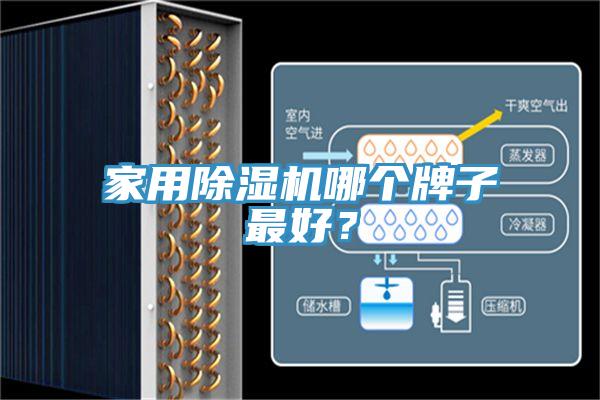 家用除濕機哪個牌子最好？