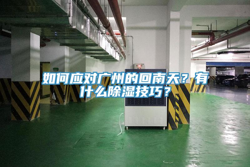 如何應(yīng)對(duì)廣州的回南天？有什么除濕技巧？